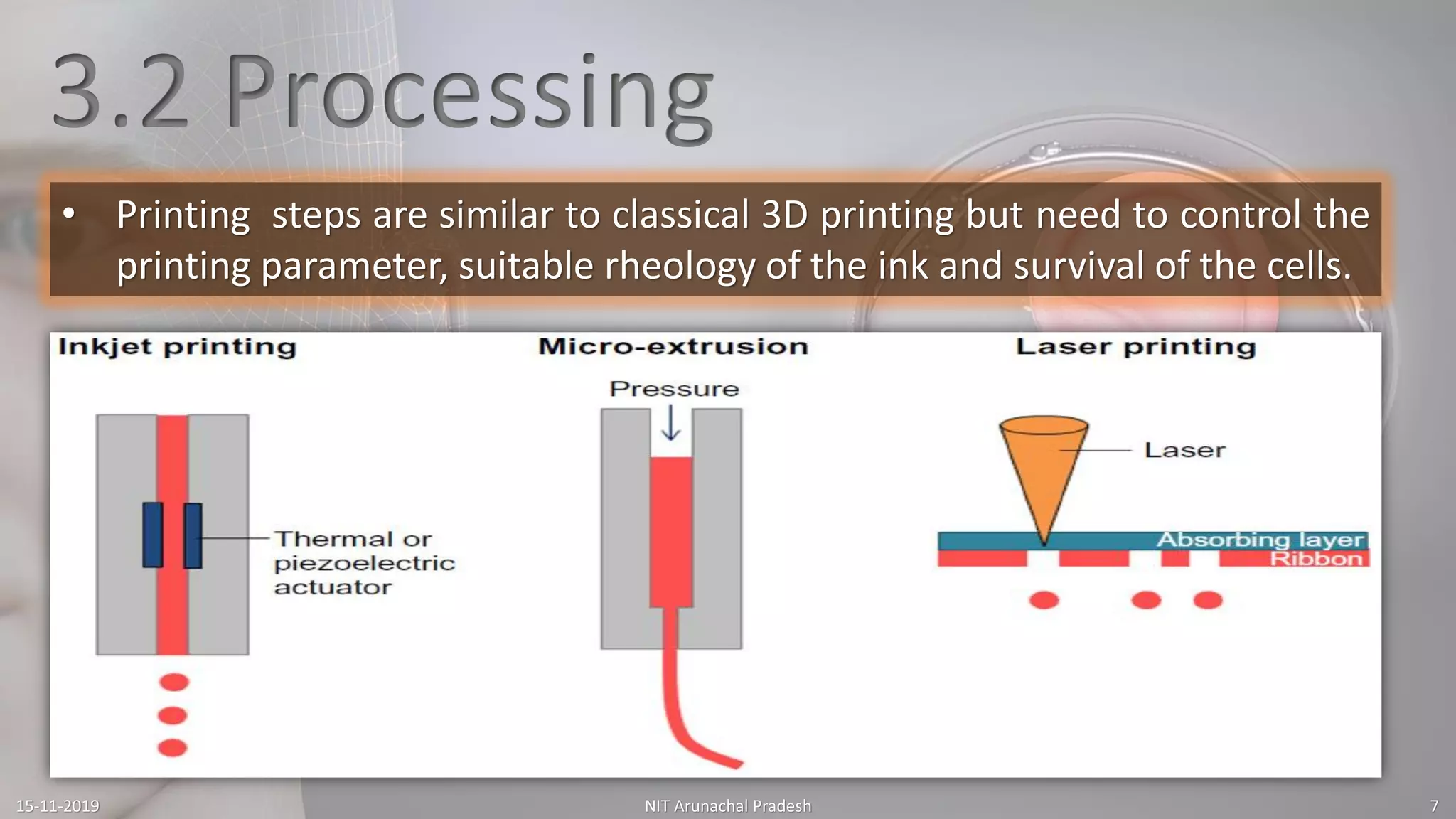 3D Bioprinting Pdf – 3D bioprinting of microorganisms: principles and ...