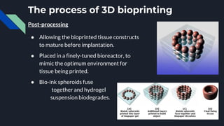 The process of 3D bioprinting
Post-processing
● Allowing the bioprinted tissue constructs
to mature before implantation.
● Placed in a finely-tuned bioreactor, to
mimic the optimum environment for
tissue being printed.
● Bio-ink spheroids fuse
together and hydrogel
suspension biodegrades.
 