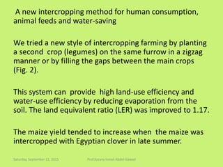 A new intercropping method for human consumption,
animal feeds and water-saving
We tried a new style of intercropping farming by planting
a second crop (legumes) on the same furrow in a zigzag
manner or by filling the gaps between the main crops
(Fig. 2).
This system can provide high land-use efficiency and
water-use efficiency by reducing evaporation from the
soil. The land equivalent ratio (LER) was improved to 1.17.
The maize yield tended to increase when the maize was
intercropped with Egyptian clover in late summer.
Saturday, September 12, 2015 Prof.Korany Ismail Abdel-Gawad
 