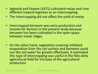 • Agboola and Fayemi (1971) cultivated maize and nine
different tropical legumes as an intercropping.
• The intercropping did not affect the yield of maize.
• Intercropped berseem was extra production and
income for farmers in the present study because
berseem has been cultivated in the open space
between maize ridges.
• On the other hand, vegetation covering inhibited
evaporation from the soil surface and berseem could
use the soil water for growth effectively. It estimated
this type of intercropping was useful in the Nile delta
agricultural field for increase of the agricultural
production.
Saturday, September 12, 2015 Prof.Korany Ismail Abdel-Gawad
 