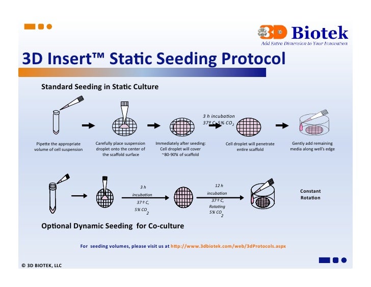 Cell Seedling Protocol _ Cell seeding protocol – XHYY