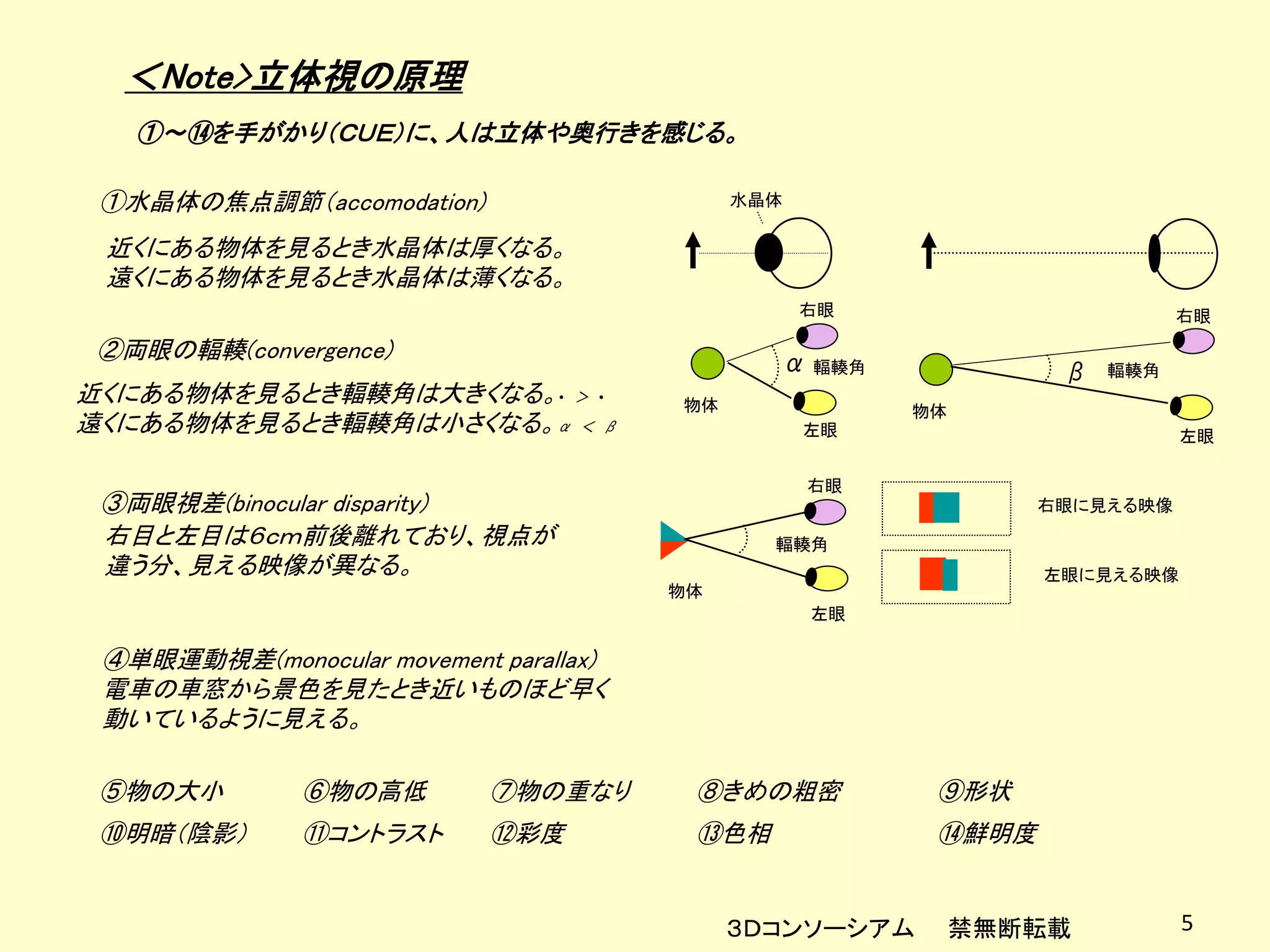 ＜Note>立体視の原理
   ①～⑭を手がかり（ＣＵＥ）に、人は立体や奥行きを感じる。

 ①水晶体の焦点調節（accomodation)                     水晶体

 近くにある物体を見るとき水晶体は厚くなる。
 遠くにある物体を見るとき水晶体は薄くなる。
                                                   右眼                      右眼

 ②両眼の輻輳(convergence)
                                               α 輻輳角             β   輻輳角
近くにある物体を見るとき輻輳角は大きくなる。• ＞ •             物体              物体
遠くにある物体を見るとき輻輳角は小さくなる。α ＜ β                        左眼                      左眼

                                                   右眼
 ③両眼視差(binocular disparity)                                     右眼に見える映像
 右目と左目は６ｃｍ前後離れており、視点が                          輻輳角
 違う分、見える映像が異なる。                                                 左眼に見える映像
                                        物体
                                                   左眼

 ④単眼運動視差(monocular movement parallax)
 電車の車窓から景色を見たとき近いものほど早く
 動いているように見える。

 ⑤物の大小         ⑥物の高低        ⑦物の重なり       ⑧きめの粗密          ⑨形状
 ⑩明暗（陰影）       ⑪コントラスト      ⑫彩度          ⑬色相             ⑭鮮明度


                                             ３Ｄコンソーシアム       禁無断転載         5
 