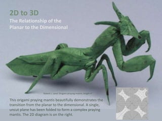 2D to 3D
The Relationship of the
Planar to the Dimensional
This origami praying mantis beautifully demonstrates the
transition from the planar to the dimensional. A single,
uncut plane has been folded to form a complex praying
mantis. The 2D diagram is on the right.
Robert J. Land. Origami praying mantis, length 4”
 