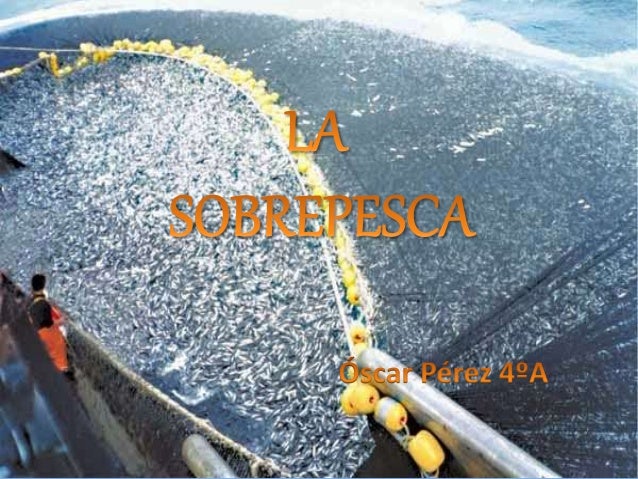 Sobrepesca
