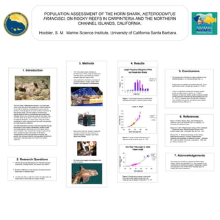 POPULATION ASSESSMENT OF THE HORN SHARK, HETERODONTUS
FRANCISCI, ON ROCKY REEFS IN CARPINTERIA AND THE NORTHERN
CHANNEL ISLANDS, CALIFORNIA.
Hoobler, S. M. Marine Science Institute, University of California Santa Barbara.
4. Results
Figure 1. Total length–frequency distributions
of female and male H. francisci used in study.
Figure 2. Length–weight relationship of H.
francisci across all study sites. N = 109
Figure 3. Relationship between total length
(mm) and inside clasper length (mm) for
males across all stages of maturation. N = 45
1. Introduction
The horn shark, Heterodontus francisci, is a small near-
shore rocky reef shark that ranges from central California
to the Gulf of California. Santa Barbara county and the
Northern Channel Islands are at the northern extension of
their known range. The horn shark is nocturnal and
actively feeds at night on invertebrates and small fishes.
Although there is no commercial value for this shark, they
are often taken as by-catch in trawls and occasionally by
recreational fishermen. In recent years, they have been
maintained in public aquariums and are sold commercially
to private aquarium collectors.
Very little information has been collected regarding the age
and growth of horn sharks. Additionally, studies to date
have made general inferences as to horn shark size at
sexual maturity. Here I present the results to date a study
that is designed to gain information on life history
characteristics of this local population including: age,
growth, size of sexual maturity, and population structure at
Carpinteria, Anacapa Island, and Santa Cruz Island,
California.
2. Research Questions
1. What is the sexual distributions of H. francisci found at
Carpinteria, Anacapa Island, and Santa Cruz Island?
2. Is there a difference in size structure of sharks found at
island sites or mainland sites?
3. At what size does a male horn shark sexually mature in
relationship to total length and clasper length?
3. Methods
• 109 Horn sharks were collected by
SCUBA divers off the coast of Carpinteria,
Anacapa Island, and Santa Cruz Island
between May and August 2004.
• Data collected on all sharks consisted of
sex determination, length, weight, GPS
location, and presence of ectoparasites.
• Male sharks had their claspers measured
and were checked for the presence of
calcified claspers, rhipidion, and if their
siphon sac inflated.
• All sharks were tagged and released in the
area of capture.
Horn Shark Total Length vs. Inside
Clasper Length
y= 2.5788e0.0052x
R2
= 0.9284
15
65
115
165
325 425 525 625 725 825
Total Length (mm)
InsideClasperLength
(mm)
Juvenile
Adults
Transitional
Length Frequency Histogram of Male
and Female Horn Sharks
0
5
10
15
20
300 350 400 450 500 550 600 650 700 750
Length (mm)
Frequency
Females n= 63
Males n= 45
Length vs. Weight
y = 0.0572e0.0057x
R2
= 0.9343
0.00
1.00
2.00
3.00
4.00
5.00
6.00
200 400 600 800 1000
Shark Total Length (mm)
SharkWeight(kg)
Anacapa Island
Carpinteria
Santa Cruz Island
5. Conclusions
• The pooled ratio of females to males indicates a bias
towards females (1.4:1) across all sites (Fig. 1).
• Sharks found at mainland and island sites (Fig. 2) are
significantly similar in length and weight (P < 0.001).
• There is a significant relationship between clasper
growth and total length of sharks (P < 0.0001).
Claspers of male horn sharks rapidly increase in length
as they approach maturation at approximately 625 mm
TL (Fig. 3). Claspers were fully calcified, rhipidions
were calcified and opened, and siphon sacs inflated
between 675 and 780 mm TL.
6. References
Ebert, D A 2003. Sharks, Rays, and Chimaeras of
California. pp.81-86. Berkeley and Los Angeles, CA:
University of California Press.
Sergio et al. 2001. Reproductive biology of the Caribbean
sharpnose shark, Rhizoprionodon porosus, from
northern Brazil. Mar. Freshwater Res. 52: 745 – 752.
Strong, W R, Jr. Behavioral ecology of horn sharks,
Heterodontus francisci, at Santa Catalina Island,
California, with emphasis on patterns of space utilization.
MS. California State University, Long Beach, 1989. 265
pp. Advisor: Nelson, D.R.
7. Acknowledgements
This study was funded by a grant from PADI Project
Aware. Thanks are extended to Dr. Jenn Caselle for her
constructive comments and support. Additionally, thanks
are extended to the UCSB PISCO Subtidal team for
helping with shark collections.
 