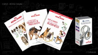 / Collaterals
CLIENT : ROYAL CANIN
 