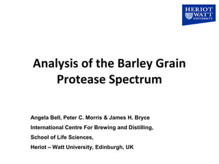 Analysis of the Barley Grain
Protease Spectrum
Angela Bell, Peter C. Morris & James H. Bryce
International Centre For Brewing and Distilling,
School of Life Sciences,
Heriot – Watt University, Edinburgh, UK
 