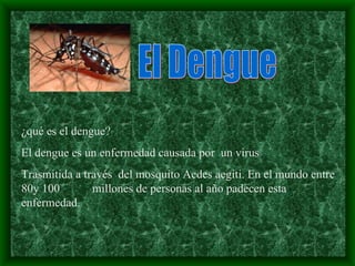 El Dengue ¿qué es el dengue? El dengue es un enfermedad causada por  un virus Trasmitida a través  del mosquito Aedes aegiti. En el mundo entre 80y 100 millones de personas al año padecen esta enfermedad.   
