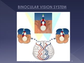 3D DISPLAY TECHNIQUE 5
 