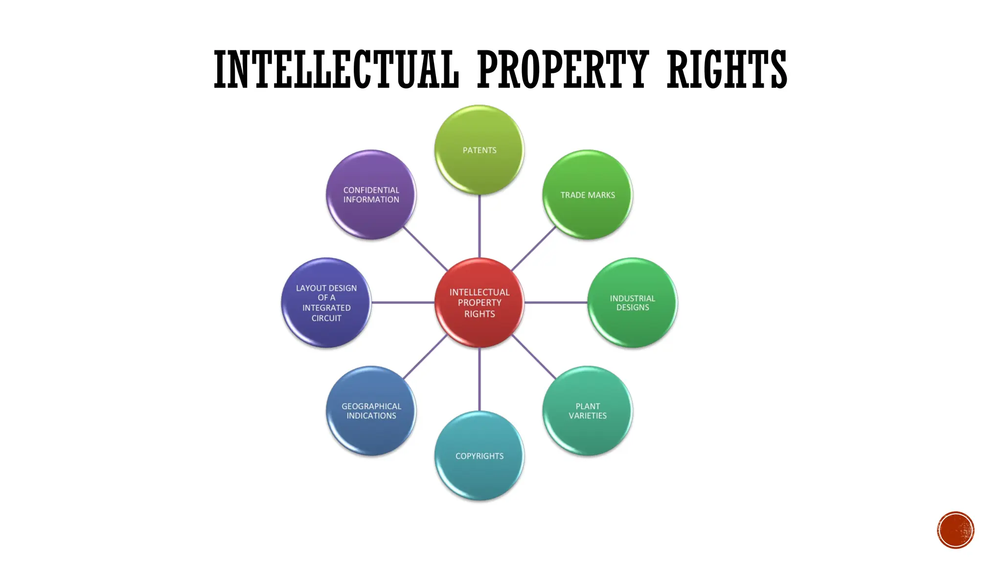 INTELLECTUAL PROPERTY RIGHTS
 