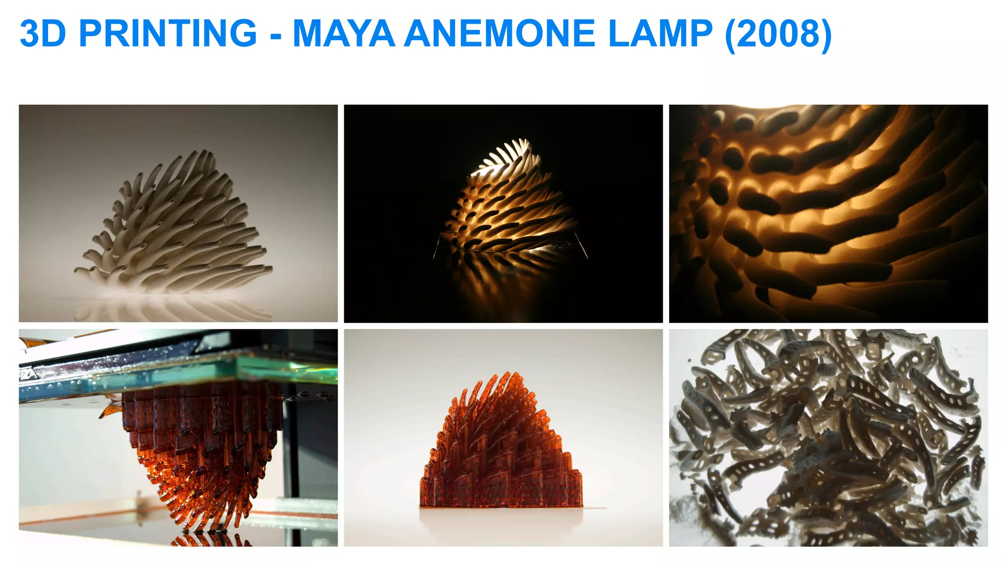 3D PRINTING - MAYA ANEMONE LAMP (2008)
 