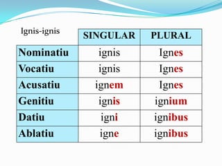 Ignis-ignis

Nominatiu
Vocatiu
Acusatiu
Genitiu
Datiu
Ablatiu

SINGULAR

PLURAL

ignis
ignis
ignem
ignis
igni
igne

Ignes
Ignes
Ignes
ignium
ignibus
ignibus

 