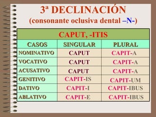 3ª DECLINACIÓN (consonante oclusiva dental  –N- ) CAPUT CAPUT CAPIT- E CAPIT- A CAPIT- A CAPIT- I CAPIT- IS CAPIT- IBUS CAPIT- IBUS CAPIT- UM CAPIT- A CAPUT ABLATIVO DATIVO GENITIVO ACUSATIVO VOCATIVO NOMINATIVO PLURAL SINGULAR CASOS CAPUT, -ITIS 
