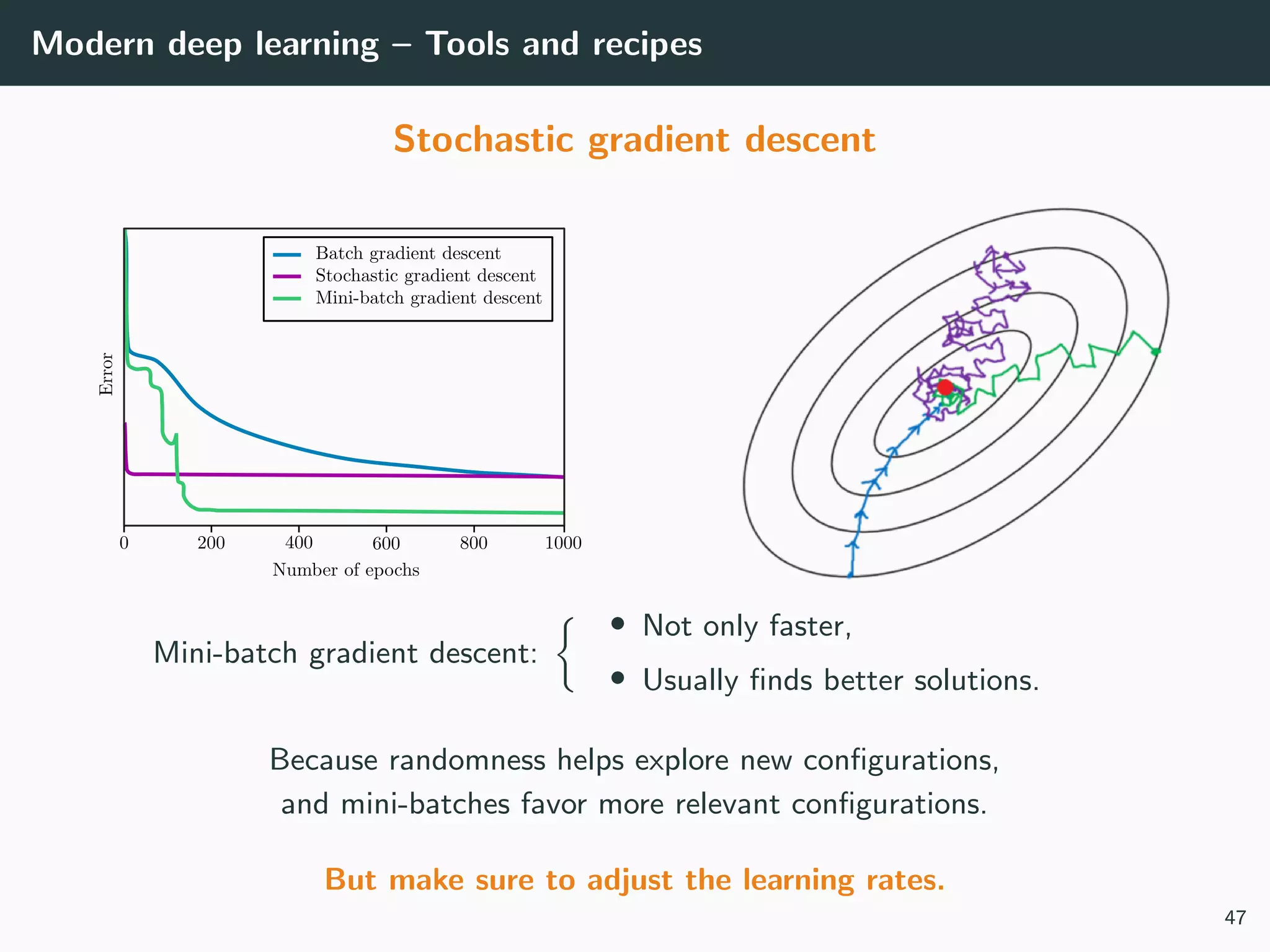Modern deep learning – Tools and recipes
Stochastic gradient descent
Mini-batch gradient descent:
• Not only faster,
• Usually ﬁnds better solutions.
Because randomness helps explore new conﬁgurations,
and mini-batches favor more relevant conﬁgurations.
But make sure to adjust the learning rates.
47
 