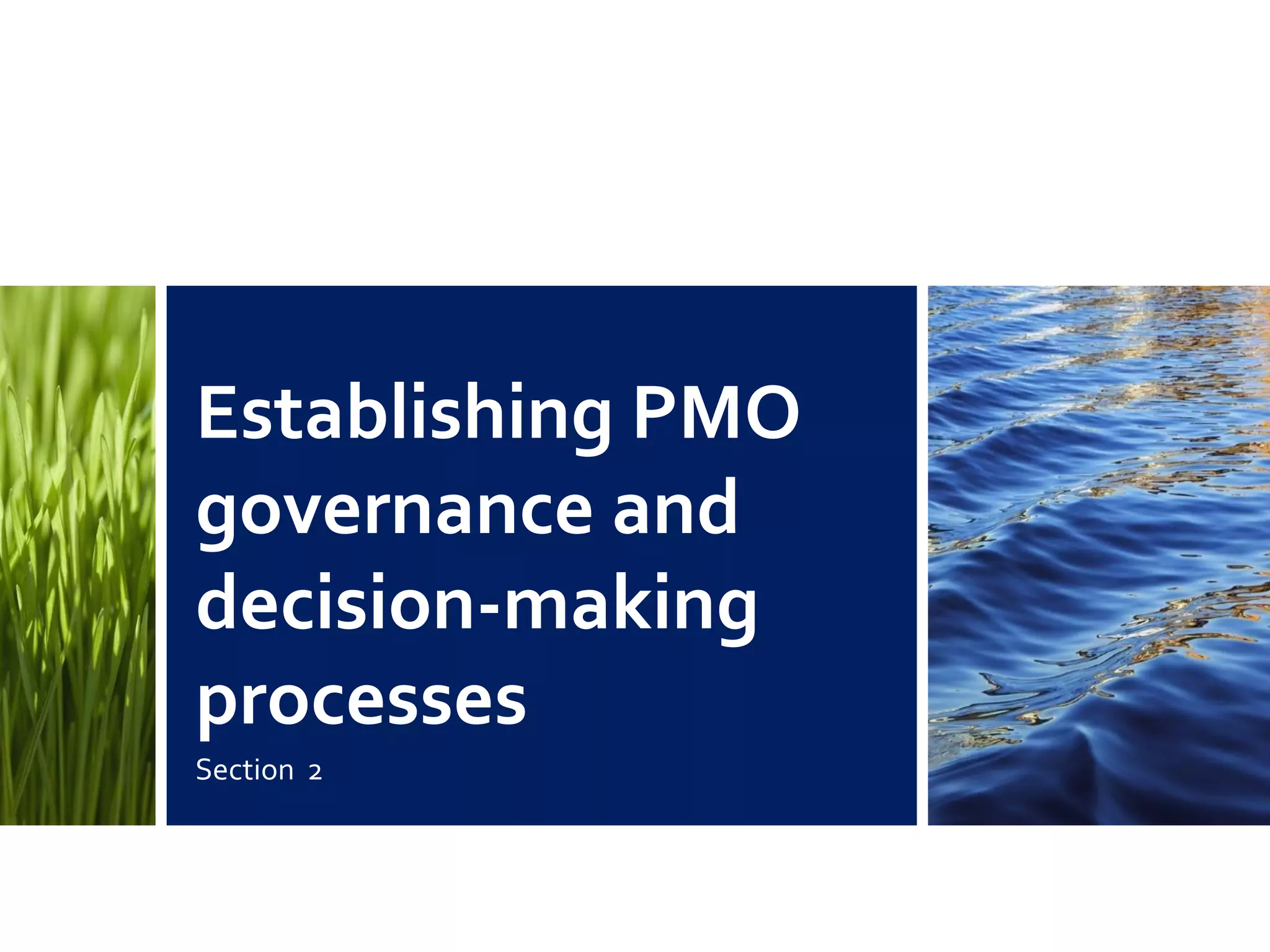 Establishing PMO
governance and
decision-making
processes
Section 2
 