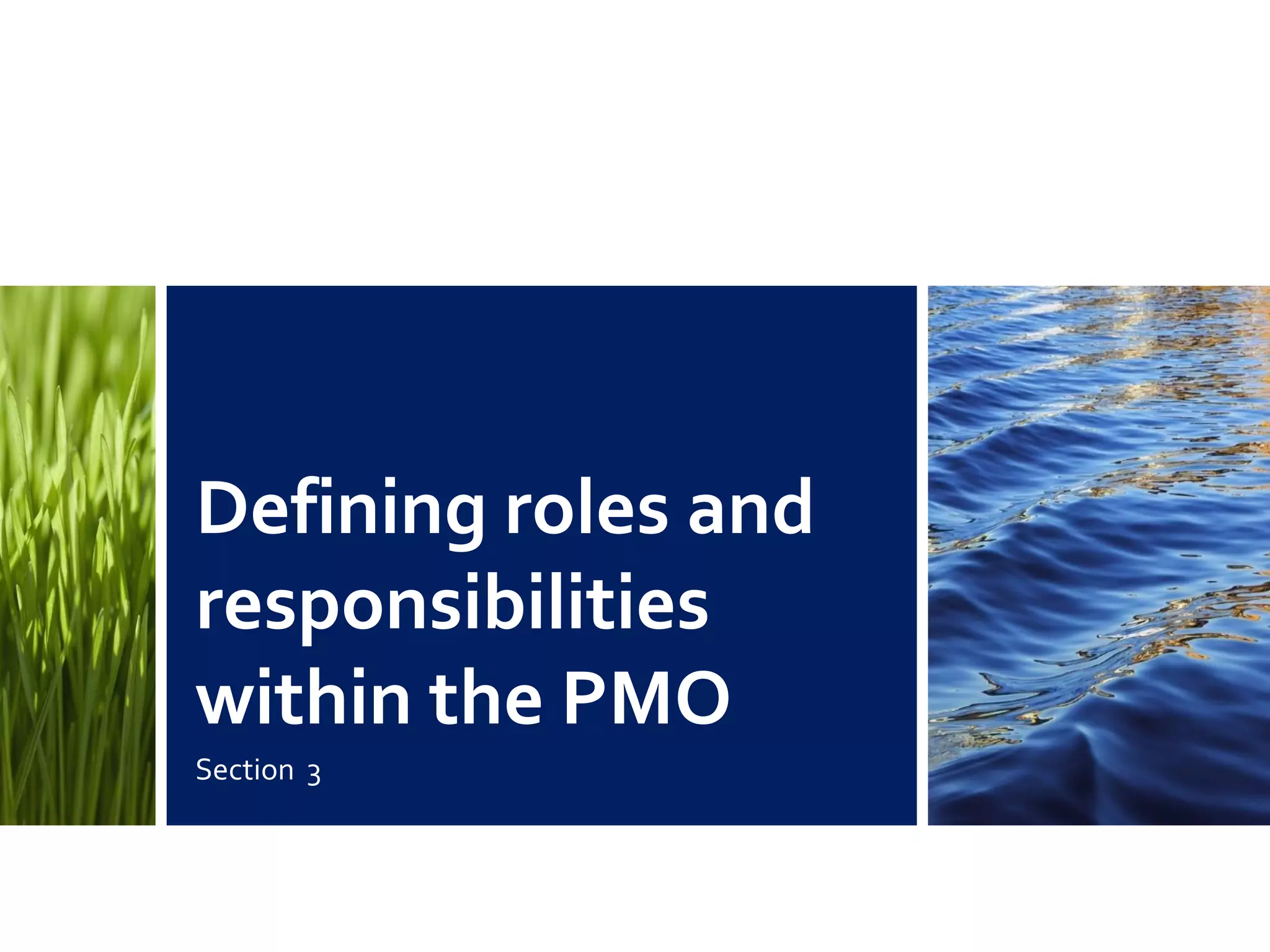 Defining roles and
responsibilities
within the PMO
Section 3
 