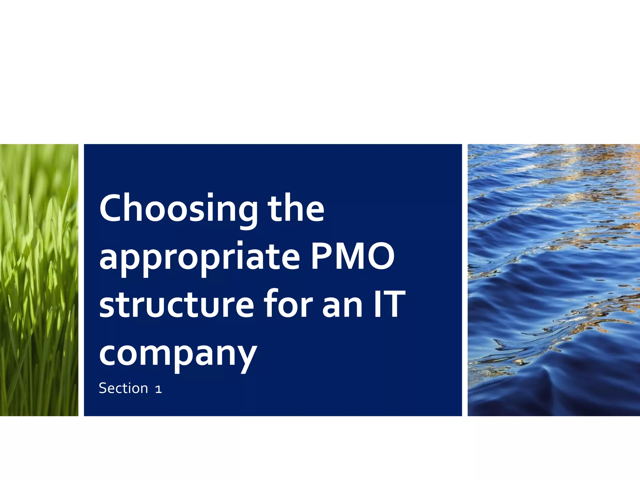 Choosing the
appropriate PMO
structure for an IT
company
Section 1
 