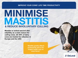 IMPROVE YOUR COWS’ LIFE TIME PRODUCTIVITY
Mastitis is ranked second after
infertility as a main reason for
culling cows. 20–50% of dairy
cows are treated for infection in
Europe and the USA
“Mastitis greatly affects
productivity and is the
largest health cost on
most farms”
1
 