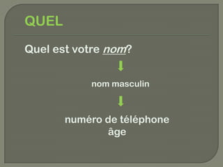 QUEL
Quel est votre nom?


           nom masculin



       numéro de téléphone
              âge
 