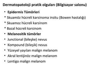 Dermatopatoloji pratik olguları (Bilgisayar salonu)
• Epidermis Tümörleri
* Skuamöz hücreli karsinoma insitu (Bowen hastalığı)
* Skuamoz hücreli karsinom
* Bazal hücreli karsinom
• Melanositik tümörler
• Junctional (bileşke) nevus
• Kompound (bileşik) nevus
• Yüzeyel yayılan malign melanom
• Akral lentijinöz malign melanom
• Lentigo malign melanom
 