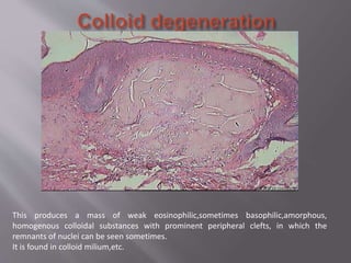 3 Dermatopathology.pptx