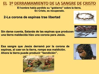 El hombre había perdido su “gobierno” sobre la tierra.
En Cristo, es recuperado.
2-LA CORONA DE ESPINAS
TRAE LIBERTAD
Sin darse cuenta, Satanás de las espinas que producen
una tierra maldecida hizo una corona para Jesús.
Esa sangre que Jesús derramó por la corona de
espinas, al caer en la tierra, rompe esa maldición.
Ahora la tierra puede producir “bendición”.
 