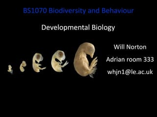 BS1070 Biodiversity and Behaviour
Developmental Biology
Will Norton
Adrian room 333
whjn1@le.ac.uk
 