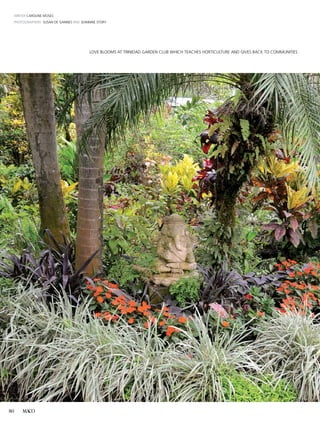 MACO80
Love blooms at Trinidad Garden Club which teaches horticulture and gives back to communities
WRITER Caroline Moses
PHOTOGRAPHERs SUSAN DE GANNES AND JEANNINE STORY
 
