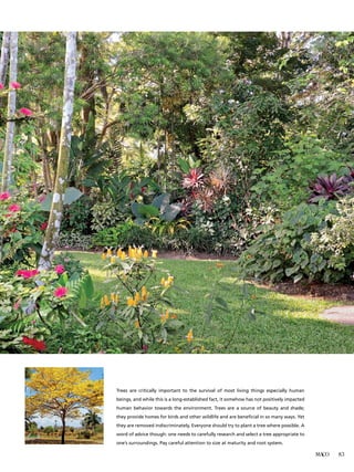 MACO 83
Trees are critically important to the survival of most living things especially human
beings, and while this is a long-established fact, it somehow has not positively impacted
human behavior towards the environment. Trees are a source of beauty and shade;
they provide homes for birds and other wildlife and are beneficial in so many ways. Yet
they are removed indiscriminately. Everyone should try to plant a tree where possible. A
word of advice though: one needs to carefully research and select a tree appropriate to
one’s surroundings. Pay careful attention to size at maturity and root system.
 