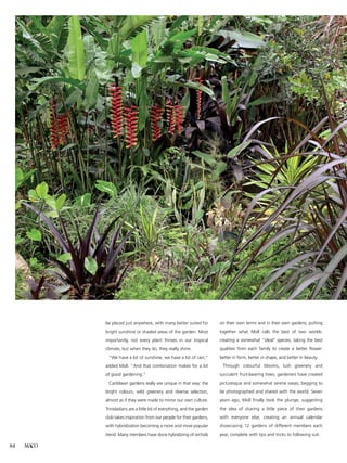 MACO84
be placed just anywhere, with many better suited for
bright sunshine or shaded areas of the garden. Most
importantly, not every plant thrives in our tropical
climate, but when they do, they really shine.
	 “We have a lot of sunshine, we have a lot of rain,”
added Moll. “And that combination makes for a lot
of good gardening.”
	 Caribbean gardens really are unique in that way: the
bright colours, wild greenery and diverse selection,
almost as if they were made to mirror our own culture.
Trinidadians are a little bit of everything, and the garden
club takes inspiration from our people for their gardens,
with hybridization becoming a more and more popular
trend. Many members have done hybridizing of orchids
on their own terms and in their own gardens, putting
together what Moll calls the best of two worlds:
creating a somewhat “ideal’’ species, taking the best
qualities from each family to create a better flower:
better in form, better in shape, and better in beauty.
	Through colourful blooms, lush greenery and
succulent fruit-bearing trees, gardeners have created
picturesque and somewhat serene oases, begging to
be photographed and shared with the world. Seven
years ago, Moll finally took the plunge, suggesting
the idea of sharing a little piece of their gardens
with everyone else, creating an annual calendar
showcasing 12 gardens of different members each
year, complete with tips and tricks to following suit.
 