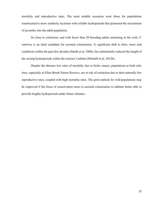 35
mortality and reproductive rates. The most notable scenarios were those for populations
translocated to more southerly locations with reliable hydroperiods that promoted the recruitment
of juveniles into the adult population.
So close to extinction, and with fewer than 50 breeding adults remaining in the wild, P.
umbrina is an ideal candidate for assisted colonization. A significant shift to drier, more arid
conditions within the past few decades (Smith et al. 2000), has substantially reduced the length of
the swamp hydroperiods within the tortoise’s habitat (Mitchell et al. 2012b).
Despite the absence low rates of mortality due to biotic causes, populations at both relic
sites, especially at Ellen Brook Nature Reserve, are at risk of extinction due to their naturally low
reproductive rates, coupled with high mortality rates. The grim outlook for wild populations may
be improved if the focus of conservation turns to assisted colonization to habitats better able to
provide lengthy hydroperiods under future climates.
 