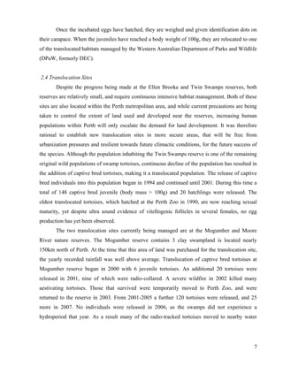 7
Once the incubated eggs have hatched, they are weighed and given identification dots on
their carapace. When the juveniles have reached a body weight of 100g, they are relocated to one
of the translocated habitats managed by the Western Australian Department of Parks and Wildlife
(DPaW, formerly DEC).
2.4 Translocation Sites
Despite the progress being made at the Ellen Brooke and Twin Swamps reserves, both
reserves are relatively small, and require continuous intensive habitat management. Both of these
sites are also located within the Perth metropolitan area, and while current precautions are being
taken to control the extent of land used and developed near the reserves, increasing human
populations within Perth will only escalate the demand for land development. It was therefore
rational to establish new translocation sites in more secure areas, that will be free from
urbanization pressures and resilient towards future climactic conditions, for the future success of
the species. Although the population inhabiting the Twin Swamps reserve is one of the remaining
original wild populations of swamp tortoises, continuous decline of the population has resulted in
the addition of captive bred tortoises, making it a translocated population. The release of captive
bred individuals into this population began in 1994 and continued until 2001. During this time a
total of 148 captive bred juvenile (body mass > 100g) and 20 hatchlings were released. The
oldest translocated tortoises, which hatched at the Perth Zoo in 1990, are now reaching sexual
maturity, yet despite ultra sound evidence of vitellogenic follicles in several females, no egg
production has yet been observed.
The two translocation sites currently being managed are at the Mogumber and Moore
River nature reserves. The Mogumber reserve contains 3 clay swampland is located nearly
150km north of Perth. At the time that this area of land was purchased for the translocation site,
the yearly recorded rainfall was well above average. Translocation of captive bred tortoises at
Mogumber reserve began in 2000 with 6 juvenile tortoises. An additional 20 tortoises were
released in 2001, nine of which were radio-collared. A severe wildfire in 2002 killed many
aestivating tortoises. Those that survived were temporarily moved to Perth Zoo, and were
returned to the reserve in 2003. From 2001-2005 a further 120 tortoises were released, and 25
more in 2007. No individuals were released in 2006, as the swamps did not experience a
hydroperiod that year. As a result many of the radio-tracked tortoises moved to nearby water
 