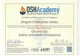 Oil & Gas Safety & Health Professional