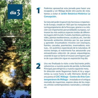 Podemos aprovechar esta jornada para hacer una
escapada y ver Málaga desde otro punto de vista.
Vamos a visitar el Jardín Botánico-Histórico La
Concepción.
Se trata del jardín tropical más hermoso e importan-
te de Europa, creado en 1855 por los marqueses de
Loring propietarios de la finca que, gracias a su rela-
ción con importantes personalidades europeas, cul-
tivaron las más exóticas especies traídas de diferen-
tes lugares del mundo. Frutales, bambúes, palmeras,
vides, plantas mediterráneas, acuáticas, etc., han ido
formando ambientes distintos por los que pasear
y aprender. Encantadores rincones con estanques,
fuentes, cascadas, puentecitos, invernaderos, esta-
tuas... Un auténtico espectáculo de la naturaleza. Al
mismo tiempo, el matrimonio fue atesorando una
extraordinaria colección de piezas arqueológicas,
creando lo que se llamó el museo Lonringiano, par-
te de cuya colección sigue en exposición hoy día.
Una vez finalizada la visita a este fascinante jardín,
volveremos a nuestro punto de partida, la Alameda
Principal, para dirigirnos a nuestra siguiente meta.
En dirección oeste llegaremos hasta el río y segui-
remos su curso hasta la calle Alemania donde se
encuentra el CAC Málaga - Centro de Arte Con-
temporáneo de Málaga -. Instalado en el antiguo
mercado de mayoristas, expone obras de los mejo-
res artistas contemporáneos nacionales y extranje-
ros. Desde su creación, ha conseguido convertirse
día3 1
2
 