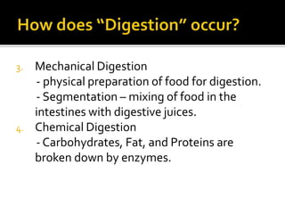 3. Mechanical Digestion
- physical preparation of food for digestion.
- Segmentation – mixing of food in the
intestines with digestive juices.
4. Chemical Digestion
- Carbohydrates, Fat, and Proteins are
broken down by enzymes.
 