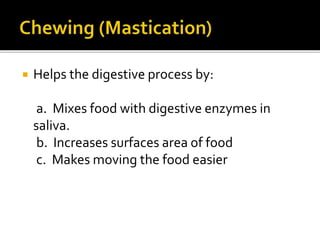  Helps the digestive process by:
a. Mixes food with digestive enzymes in
saliva.
b. Increases surfaces area of food
c. Makes moving the food easier
 