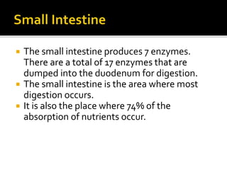  The small intestine produces 7 enzymes.
There are a total of 17 enzymes that are
dumped into the duodenum for digestion.
 The small intestine is the area where most
digestion occurs.
 It is also the place where 74% of the
absorption of nutrients occur.
 