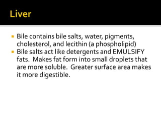  Bile contains bile salts, water, pigments,
cholesterol, and lecithin (a phospholipid)
 Bile salts act like detergents and EMULSIFY
fats. Makes fat form into small droplets that
are more soluble. Greater surface area makes
it more digestible.
 