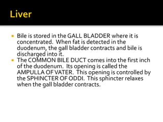  Bile is stored in the GALL BLADDER where it is
concentrated. When fat is detected in the
duodenum, the gall bladder contracts and bile is
discharged into it.
 The COMMON BILE DUCT comes into the first inch
of the duodenum. Its opening is called the
AMPULLA OFVATER. This opening is controlled by
the SPHINCTER OF ODDI. This sphincter relaxes
when the gall bladder contracts.
 
