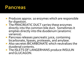  Produces approx. 10 enzymes which are responsible
for digestion.
 The PANCREATIC DUCT carries these enzymes
directly into the common bile duct. Sometimes it
empties directly into the duodenum (anatomic
variance).
 Pancreas releases pancreatic juice, containing
bicarbonate, lipases, proteases, and amylase.
 Also secretes BICARBONATE which neutralizes the
duodenal contents.
 The ISLETS OF LANGERHANS produce INSULIN
and GLUCAGON.
 