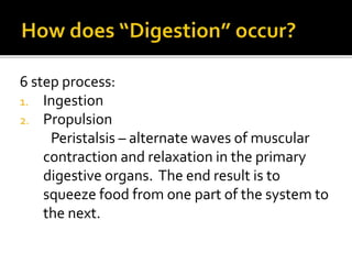 6 step process:
1. Ingestion
2. Propulsion
Peristalsis – alternate waves of muscular
contraction and relaxation in the primary
digestive organs. The end result is to
squeeze food from one part of the system to
the next.
 