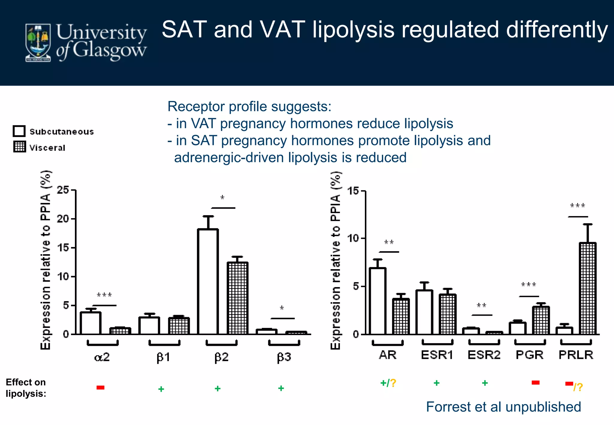 Effect on
lipolysis: + +- + + + -/?-+/?
Forrest et al unpublished
SAT and VAT lipolysis regulated differently
Receptor profile suggests:
- in VAT pregnancy hormones reduce lipolysis
- in SAT pregnancy hormones promote lipolysis and
adrenergic-driven lipolysis is reduced
 