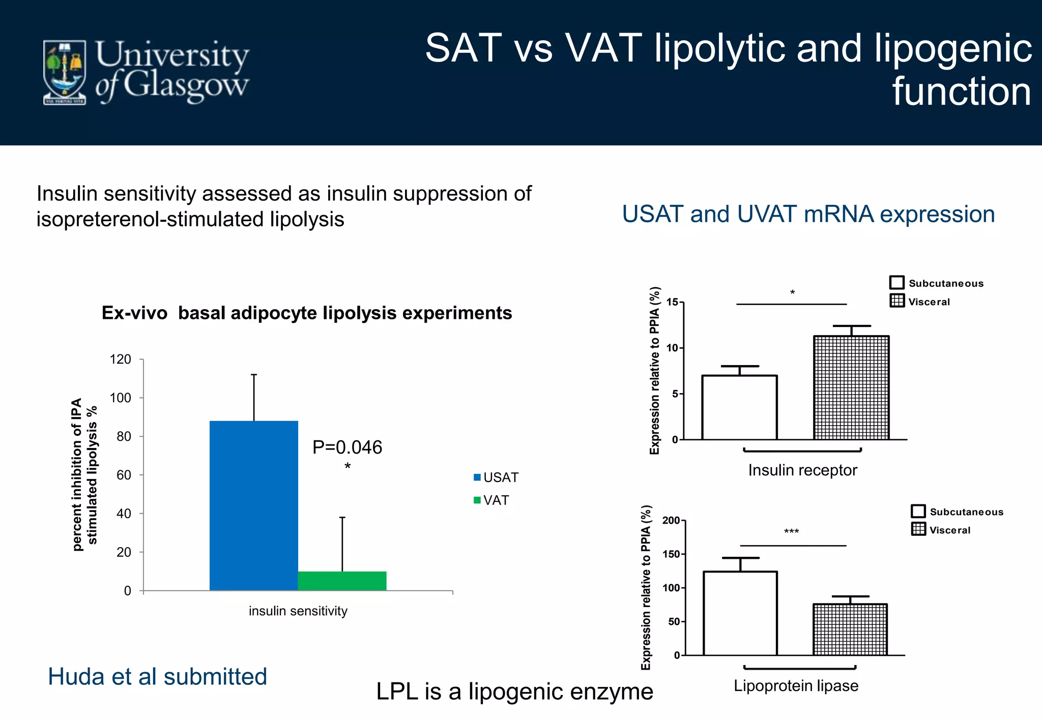 SAT vs VAT lipolytic and lipogenic
function
0
20
40
60
80
100
120
insulin sensitivity
percentinhibitionofIPA
stimulatedlipolysis%
USAT
VAT
P=0.046
*
Ex-vivo basal adipocyte lipolysis experiments
Huda et al submitted
USAT and UVAT mRNA expression
Insulin sensitivity assessed as insulin suppression of
isopreterenol-stimulated lipolysis
ExpressionrelativetoPPIA(%)
0
5
10
15
Subcutaneous
Visceral
*
INSR
ExpressionrelativetoPPIA(%)
0
50
100
150
200
***
LPL
Subcutaneous
Visceral
LPL is a lipogenic enzyme
Insulin receptor
Lipoprotein lipase
 