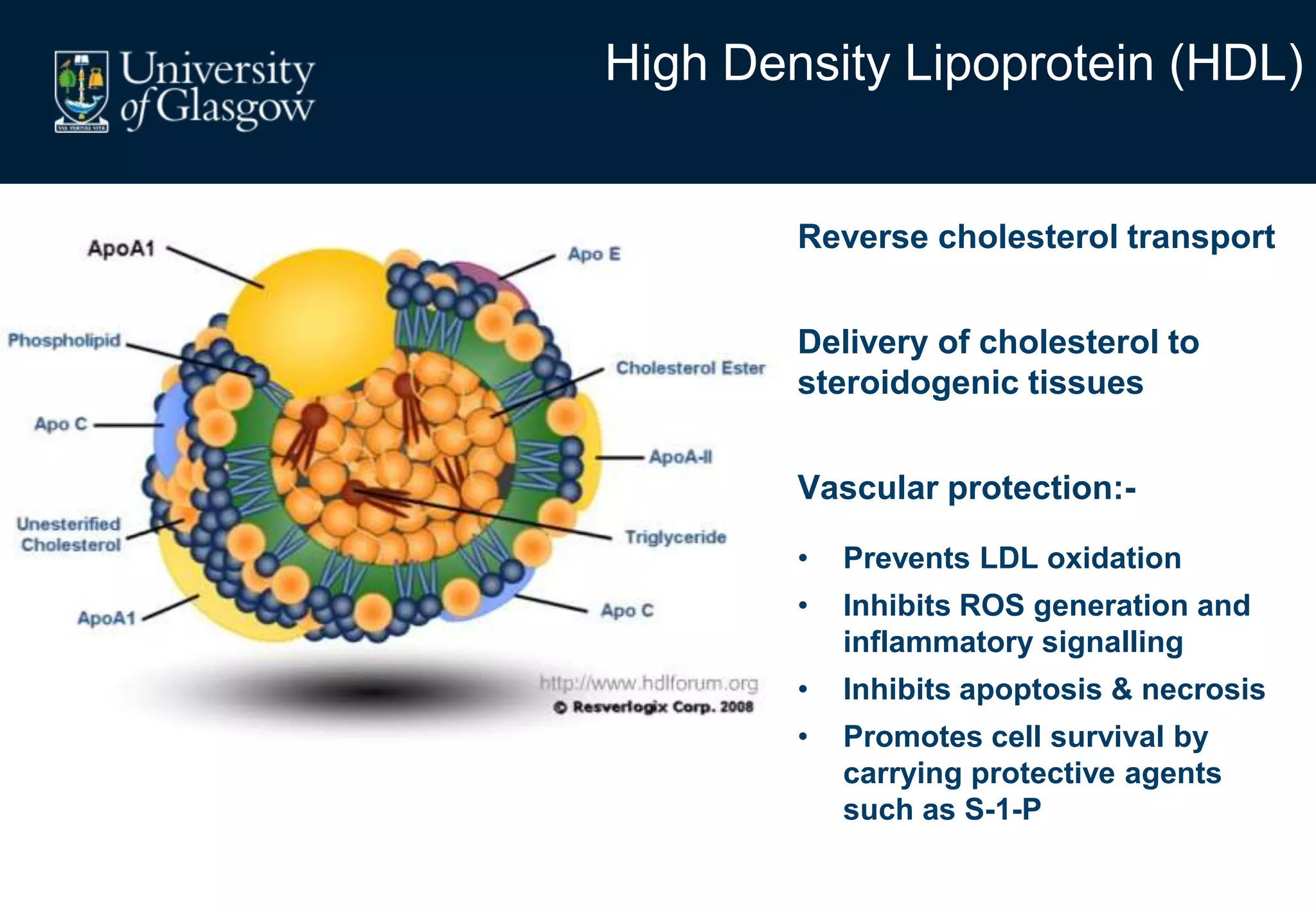 High Density Lipoprotein (HDL)
Reverse cholesterol transport
Delivery of cholesterol to
steroidogenic tissues
Vascular protection:-
• Prevents LDL oxidation
• Inhibits ROS generation and
inflammatory signalling
• Inhibits apoptosis & necrosis
• Promotes cell survival by
carrying protective agents
such as S-1-P
 