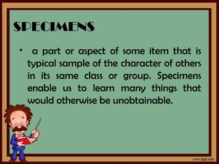 Specimens Classroom 3D instructional materials | PPT