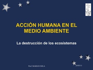 ACCIÓN HUMANA EN EL MEDIO AMBIENTE La destrucción de los ecosistemas 