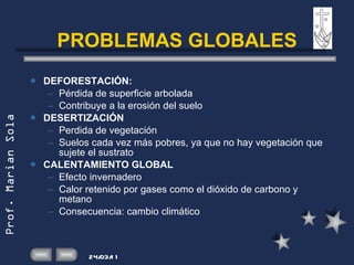 PROBLEMAS GLOBALES DEFORESTACIÓN: Pérdida de superficie arbolada Contribuye a la erosión del suelo DESERTIZACIÓN Perdida de vegetación Suelos cada vez más pobres, ya que no hay vegetación que sujete el sustrato CALENTAMIENTO GLOBAL Efecto invernadero Calor retenido por gases como el dióxido de carbono y metano Consecuencia: cambio climático 