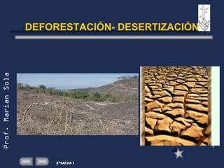 DEFORESTACIÓN- DESERTIZACIÓN 