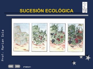 SUCESIÓN ECOLÓGICA 