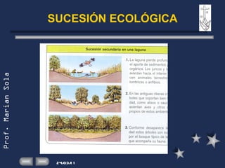 SUCESIÓN ECOLÓGICA 